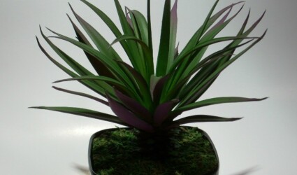 home decor | succulent #hd001 | $12.99 home decor succulent ron beck designs #hd001