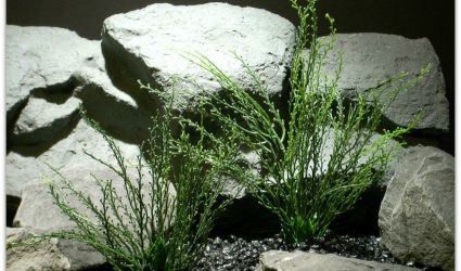 plastic aquarium plant bead grass pap092 ron beck designs plastic aquarium plant bead grass pap092 ron beck designs