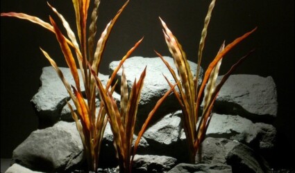 plastic aquarium decor plants: fall reeds #pap097 | $17.99 plastic aquarium decor plants fall reeds pap097 by ron beck designs