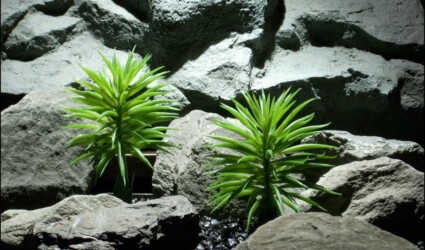 plastic reptile decor plants: pine needle bush pap101 by ron beck designs plastic rerptile decor plants: pine needle bush pap101 by ron beck designs