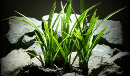 plastic aquarium decor plant: arrowhead grass plot from ron beck designs plastic aquarium decor plant arrowhead grass plot sap107 by ron beck designs