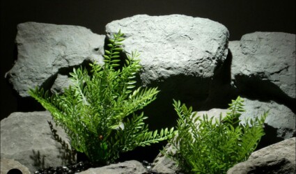 plastic aquarium decor plant leafy leaves by ron beck designs plastic aquarium decor plant leafy leaves by ron beck designs
