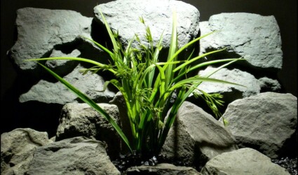 plastic aquarium plant morning grass pap112 by ron beck designs
