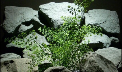 plastic aquarium plant mini fan bush pap119 ron beck designs