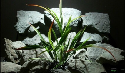 plastic aquarium plant arrowhead philodendron red tip pap126 from ron beck designs