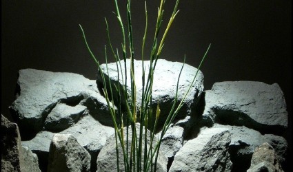 Design Portfolio Aquarium Decor Plants 105 artificial aquarium plants high reeds pap140 from ron beck designs