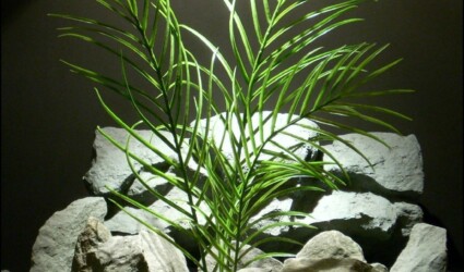 plastic aquarium plant: palm grass pap147 plastic aquarium plant palm grass pap147 from ron beck designs