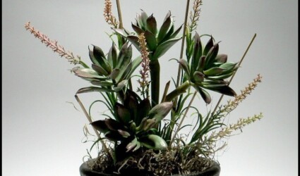 home decor succulent from ron beck designs 631 774