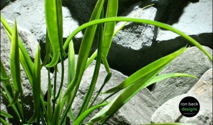 Design Portfolio Aquarium Decor Plants 102 plastic aquarium plant arrowhead grass pap148 from ron beck designs close up 1024 768