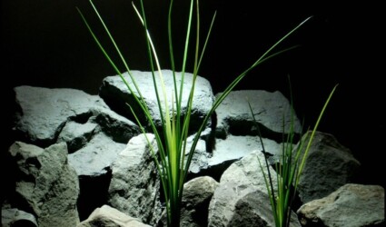plastic aquarium plants high grass pap151 plastic aquarium plants high grass pap151 from ron beck designs