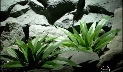 Design Portfolio Aquarium Decor Plants 99 silk aquarium plants - silk reptile plants: palm leaves bushes sap156 from ron beck designs