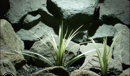 Design Portfolio Aquarium Decor Plants 96 plastic aquarium plants vanilla grass pap166 from ron beck designs