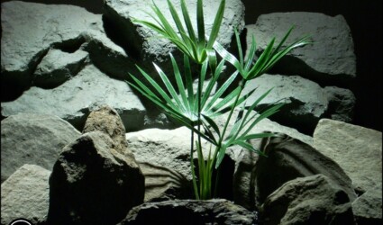 #ronbeckdesigns plastic aquarium plant papyrus grass pap173 from ron beck designs