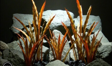 plastic aquarium plants fall reeds from ron beck designs