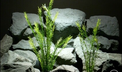 plastic aquarium plants wheatgrass pap174 from ron beck designs