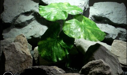 #ronbeckdesigns silk reptile plant lotus leaves srp172 from ron beck designs