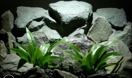 Design Portfolio Aquarium Decor Plants 85 silk aquarium plants palm grass from ron beck designs. sarp192