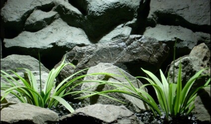 Design Portfolio Reptile Plants & Succulents 228 faux aquarium plants leaf blades from ron beck designs. parp207