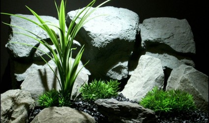 Design Portfolio Aquarium Decor Plants 81 landing page ron beck designs 1610 1210