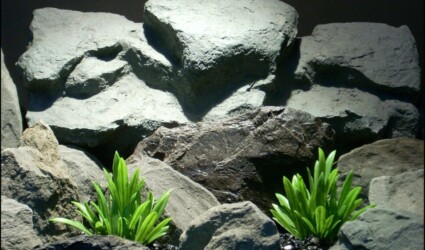 Design Portfolio Reptile Plants & Succulents 222 faux aquarium plants green river grass from ron beck designs, pap208