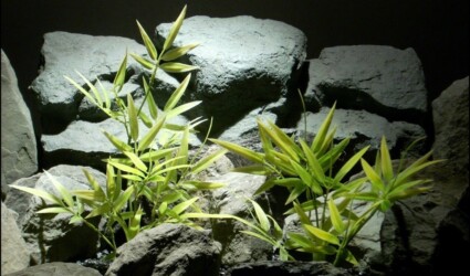 Design Portfolio Aquarium Decor Plants 79 plastic aquarium plants Variegated Bamboo from ron beck designs, pap209