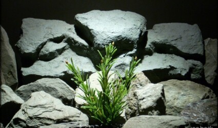 Design Portfolio Reptile Plants & Succulents 224 plastic aquarium plant juniper bush from ron beck designs. pap217