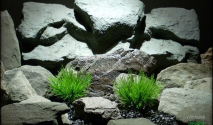Design Portfolio Reptile Plants & Succulents 79 plastic aquarium plants: pine needle grass from ron beck designs pap215