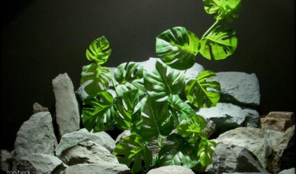 Design Portfolio Reptile Plants & Succulents 80 silk reptile plant- monstera leaves from ron beck designs. srp216