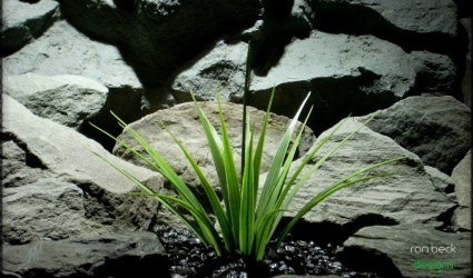Design Portfolio Aquarium Decor Plants 72 custom order blade grass from ron beck designs 1024 768 2
