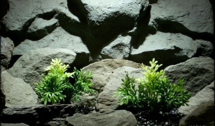 Design Portfolio Aquarium Decor Plants 73 pinnate leaf bush artificial aquarium plant from ron beck designs