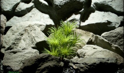 plastic reptile plant succulent green from ron beck designs prs222