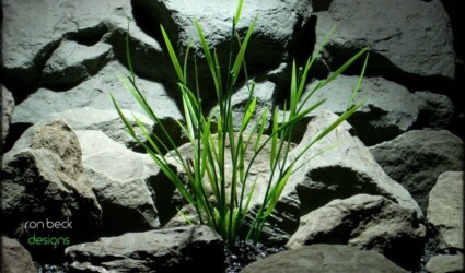 Design Portfolio Reptile Plants & Succulents 82 aquarium plant: bamboo shoots from ron beck designs. pap225