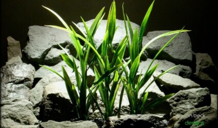 Design Portfolio Aquarium Decor Plants 70 plastic aquarium decor plants: arrowhead grass plot from ron beck designs 04 2018