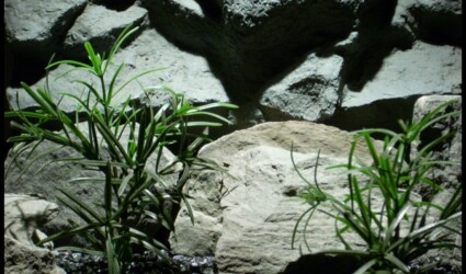 plastic aquarium plants sword leaf bush ron beck designs pap234 2
