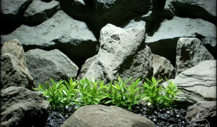 Design Portfolio Aquarium Decor Plants 59 dwarf mini leaf plot plastic aquarium plants pap243