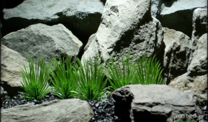 Design Portfolio Reptile Plants & Succulents 205 pine needle grass plot plastic aquarium plants pap241 2