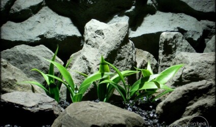 plastic aquarium plants_ spear leaves plot pap239 3