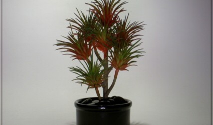 Artificial Succulent | Home Decor prs259