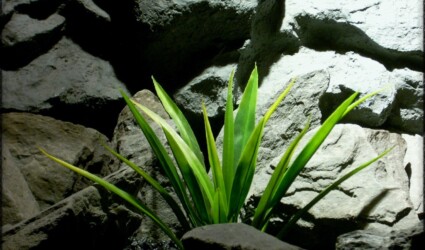 artificial aquarium plant arrowhead grass pap260 3