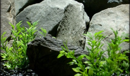 Design Portfolio Aquarium Decor Plants 56 artificial plants_ mini leaves artificial aquarium plants pap257 2