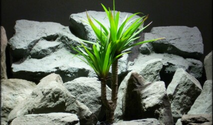 Design Portfolio Reptile Plants & Succulents 187 Artificial Plant Yucca Plant Artificial Reptile Plant prp264