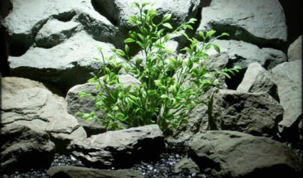 tea plant artificial aquarium plant pap262