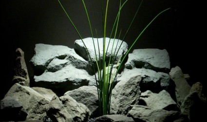 Design Portfolio Aquarium Decor Plants 51 High Grass Artificial Aquarium Plant | ron beck designs pap269