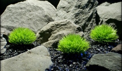 Plastic Moss | Artificial Aquarium Plants | ron beck designs pap276