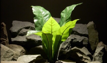 Design Portfolio Reptile Plants & Succulents 174 Birds Nest Fern - Artificial Silk Reptile Plants
