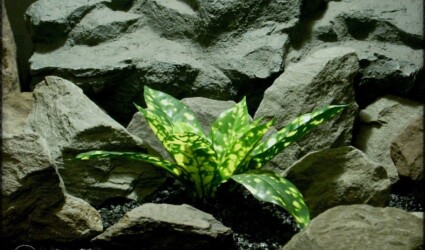 sloppy painter croton - artificial silk reptile plant srp280