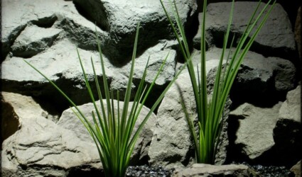 Artificial Grass Reeds - Aquarium Plant - parp286 2