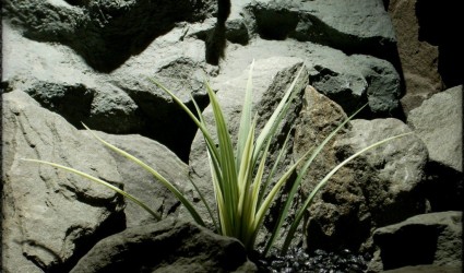 Design Portfolio Aquarium Decor Plants 45 Artificial Vanilla Grass - Aquarium or Reptile Plant parp284 1024 2