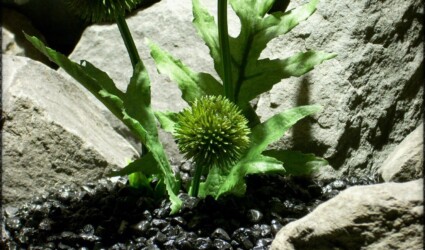 Artificial Cactus Flower - Artificial Reptile Amphibian Plant Cactus prp295 4