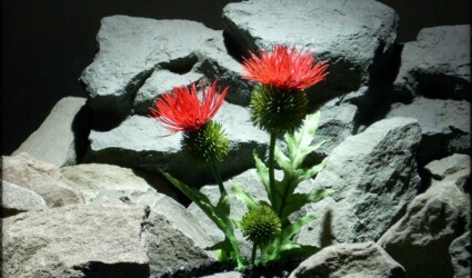 Artificial Cactus Flower - Artificial Reptile Amphibian Plant Cactus prp295